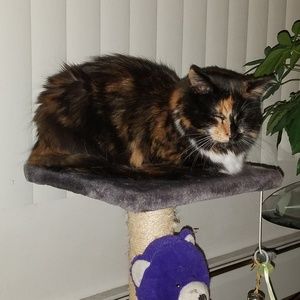 Meet your Posher, Vicky